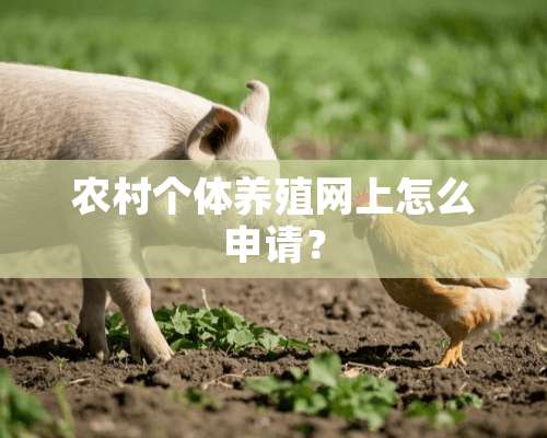 农村个体养殖网上怎么申请？