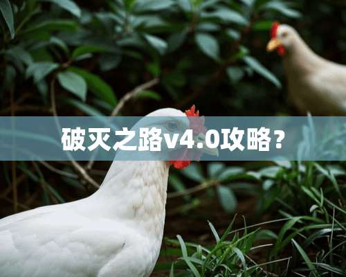 破灭之路v4.0攻略？