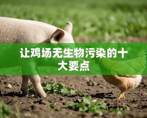 让鸡场无生物污染的十大要点