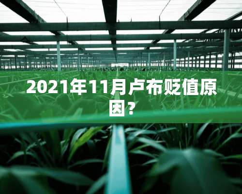 2021年11月卢布贬值原因？