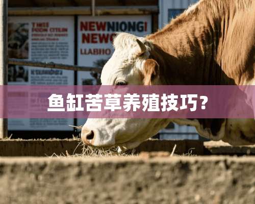 鱼缸苦草养殖技巧？