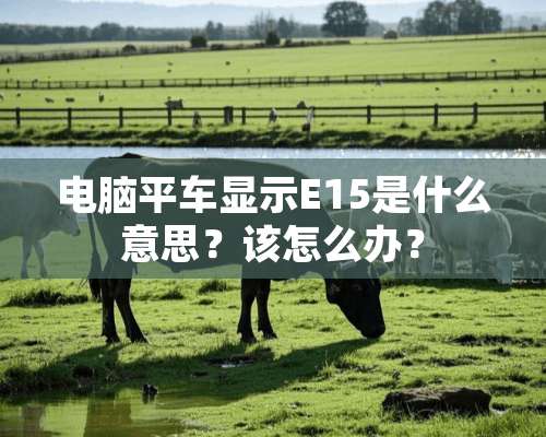 电脑平车显示E15是什么意思？该怎么办？