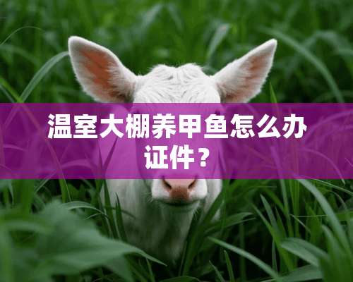 温室大棚养甲鱼怎么办证件？