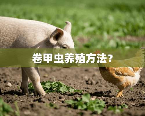 卷甲虫养殖方法？