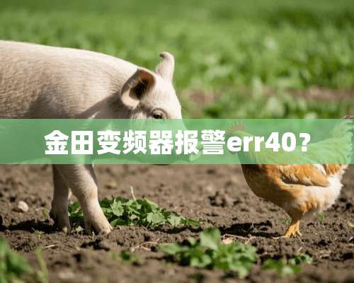 金田变频器报警err40？