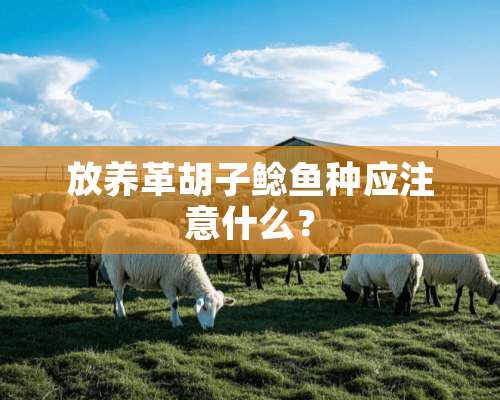 放养革胡子鲶鱼种应注意什么？