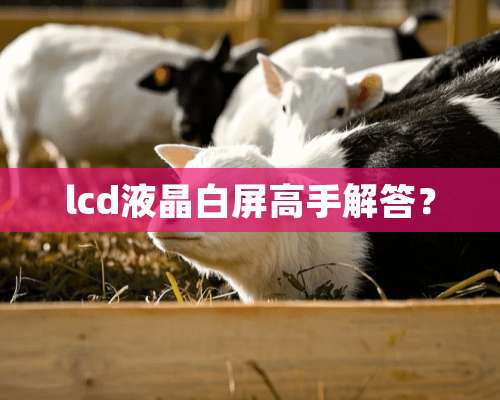 lcd液晶白屏高手解答？