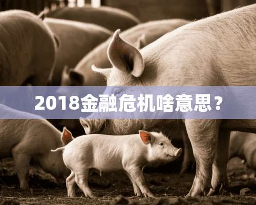 2018金融危机啥意思？