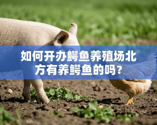 如何开办鳄鱼养殖场北方有养鳄鱼的吗？