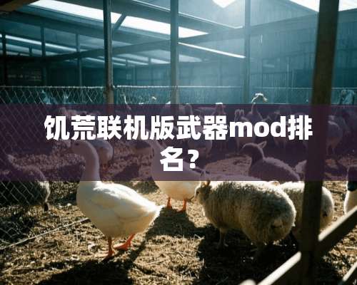 饥荒联机版**mod排名？