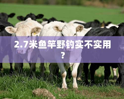 2.7米鱼竿野钓实不实用？