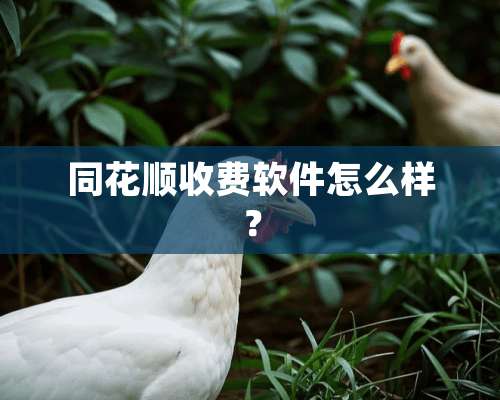 同花顺收费软件怎么样？