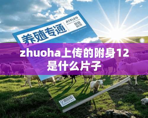 zhuoha上传的附身12是什么片子