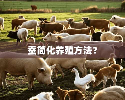 蚕简化养殖方法？