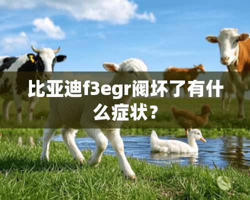 比亚迪f3egr阀坏了有什么症状？