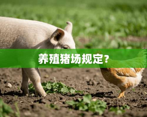 养殖猪场规定？