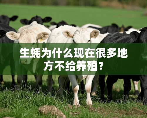 生蚝为什么现在很多地方不给养殖？