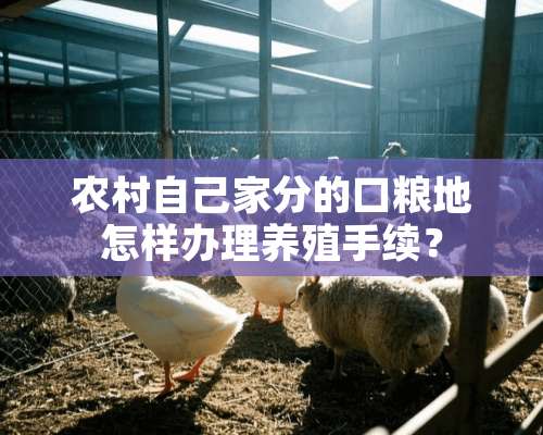 农村自己家分的口粮地怎样办理养殖手续？