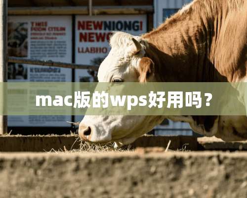 mac版的wps好用吗？