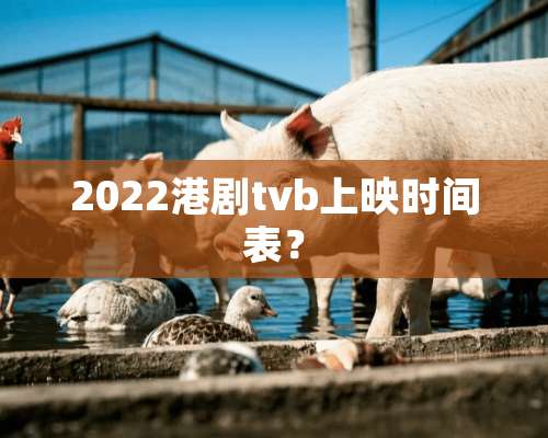 2022港剧tvb上映时间表？