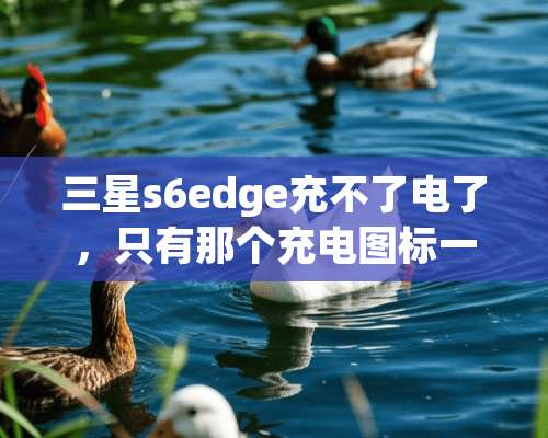 三星s6edge充不了电了，只有那个充电图标一闪一闪。充电图标闪一下一下？