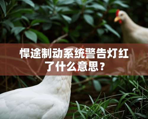 悍途制动系统警告灯红了什么意思？