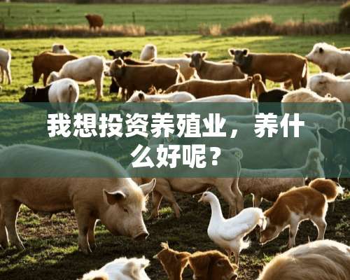 我想投资养殖业，养什么好呢？