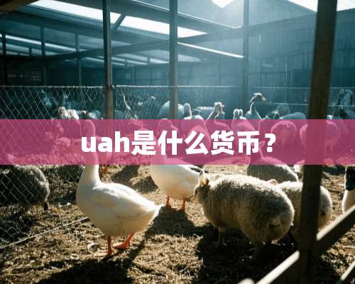 uah是什么货币？