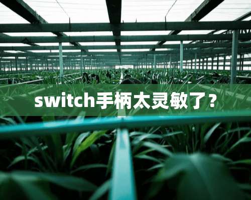 switch手柄太灵敏了？