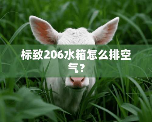 标致206水箱怎么排空气？