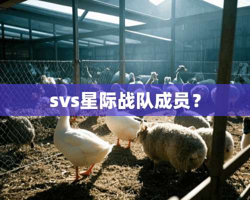 svs星际战队成员？