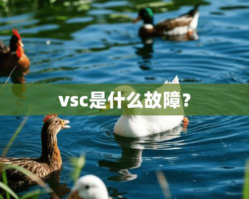 vsc是什么故障？