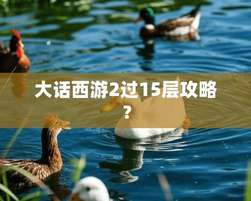 大话西游2过15层攻略？