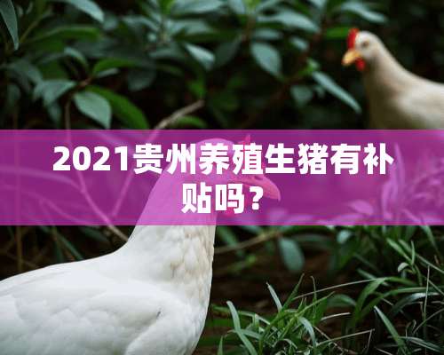 2021贵州养殖生猪有补贴吗？