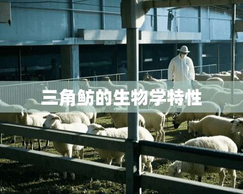 三角鲂的生物学特性