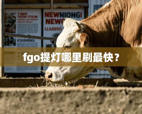 fgo提灯哪里刷最快？