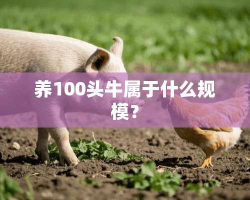 养100头牛属于什么规模？