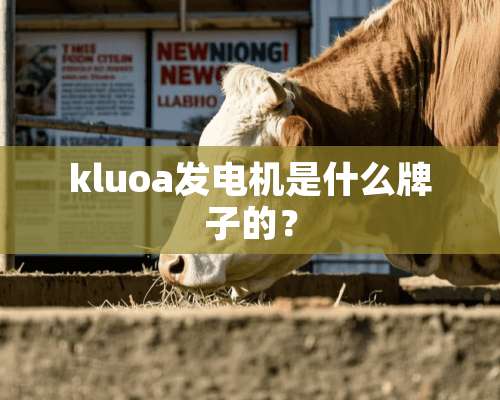 kluoa发电机是什么牌子的？