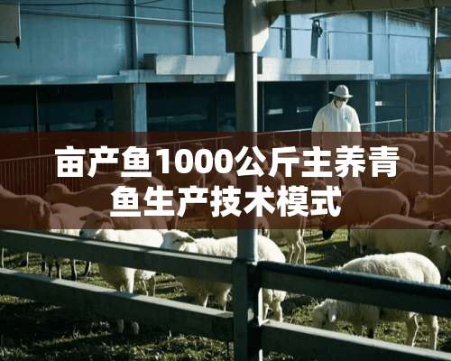 亩产鱼1000公斤主养青鱼生产技术模式