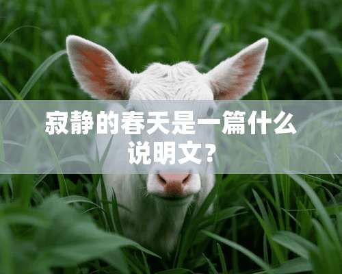 寂静的春天是一篇什么说明文？