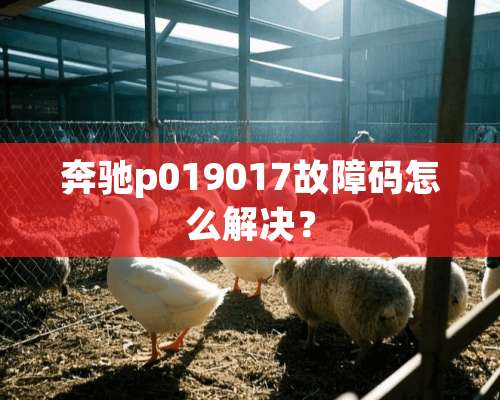 奔驰p019017故障码怎么解决？