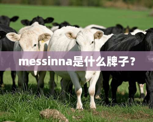 messinna是什么牌子？