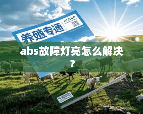 abs故障灯亮怎么解决？