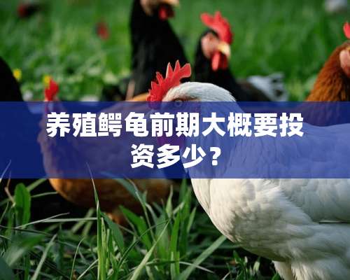 养殖鳄龟前期大概要投资多少？