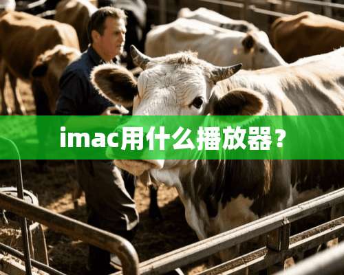 imac用什么播放器？