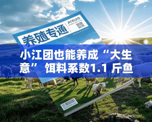 小江团也能养成“大生意” 饵料系数1.1 斤鱼利润近60%