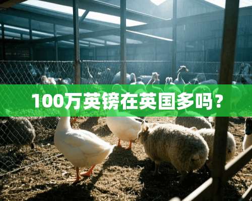 100万英镑在英国多吗？