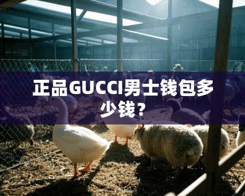 正品GUCCI男士钱包多少钱？