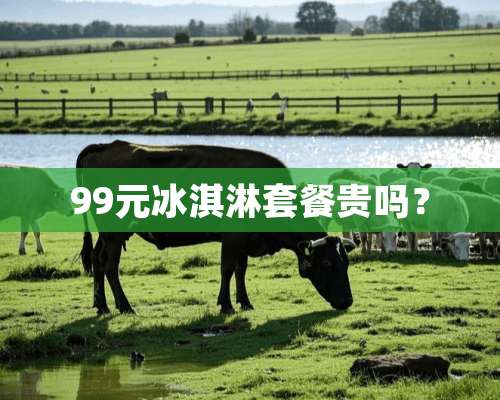 99元冰淇淋套餐贵吗？