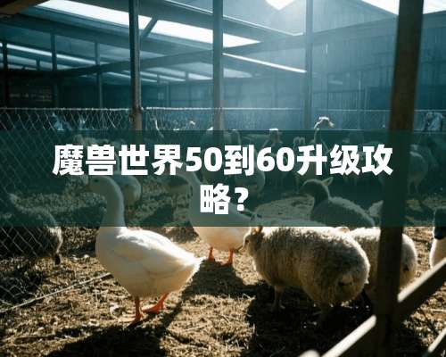 魔兽世界50到60升级攻略？